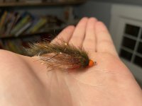 IMG_2351.jpg