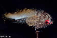 DSC_0116 - edit 1.jpg