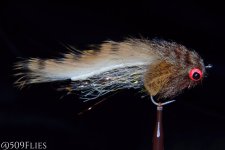 DSC_0118 - edit 1.jpg