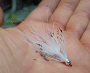 IMG_20221223_074531836.jpg