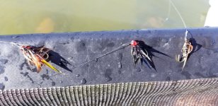 20220710_flies.jpg 20220710_flies.jpg