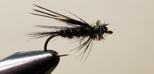 20221224_082951.jpg