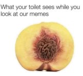 FB_IMG_1671721004528.jpg