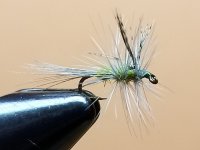 20221224_182814.jpg