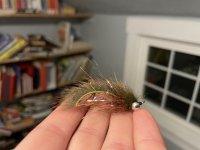 IMG_2354.jpg IMG_2354.jpg