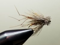 20221226_095016.jpg