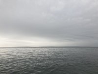 2512E65F-624A-48F7-B52F-865E668D9F1F.jpeg