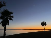 29F367D3-3573-43BD-91B2-D072B007228C.jpeg
