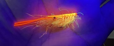 IMG_0618.jpeg
