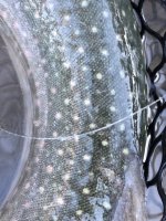 6B9DD053-676E-49BE-A201-470BF89391CE.jpeg