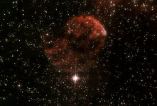 Jellyfish-PS-vibrance-destar copy.jpg