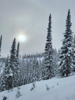 20221224_142024.jpg 20221224_142024.jpg