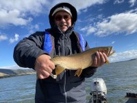 Yellowstone Cutthroat Trout.jpg