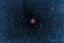 Cocoon nebula-PS-vibrance copy.jpg