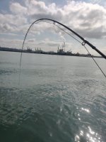 IMG_20210823_103635.jpg