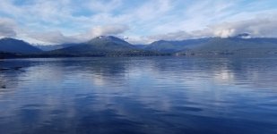 20230101_132100.jpg 20230101_132100.jpg