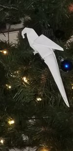 20230102_094617.jpg