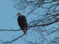 IMG_0107.JPG