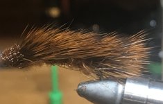 98328E68-65B1-455A-9DE6-D2862ED77AE4.jpeg