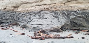 Interglacial Clay Bed.jpg Interglacial Clay Bed.jpg