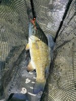 20220531_140539.jpg 20220531_140539.jpg