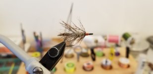 20230104_083859.jpg