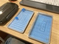 IMG_6532.jpeg