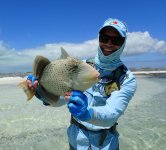 Yellowmargin Triggerfish.jpg