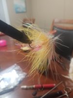 20230105_182559.jpg 20230105_182559.jpg