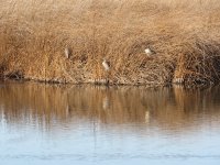 IMG_3654.JPG