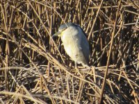 IMG_3668.JPG