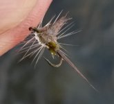 20230106_fly.jpg 20230106_fly.jpg