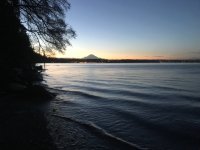 IMG_6661.jpeg