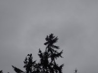 DFAD1D5D-417C-4D9D-A6DD-AF5B5B511B88.jpeg DFAD1D5D-417C-4D9D-A6DD-AF5B5B511B88.jpeg