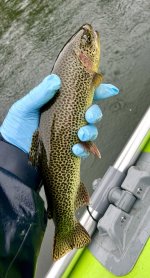 B833C08A-E50F-4817-945A-1637FAE2F646.jpeg
