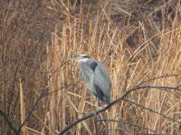 IMG_3687.JPG