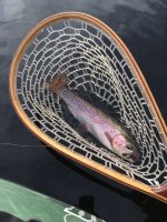 IMG_8239.jpeg