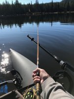 IMG_3847.jpeg