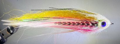 rainbow.jpg