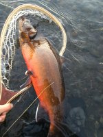 IMG_3130.JPG