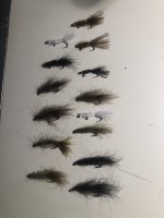 rockybugs.jpg