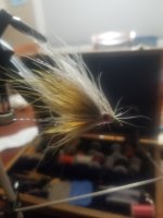 20230112_203136.jpg