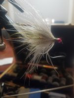 20230112_203351.jpg