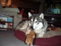 xmas 2009-03.jpg