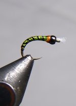 IMG_20230110_172602848~2.jpg