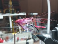 20230113_175847.jpg 20230113_175847.jpg