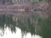 20230114_serenity.jpg 20230114_serenity.jpg