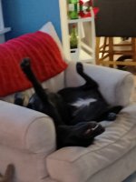 IMG20221201073823.jpg