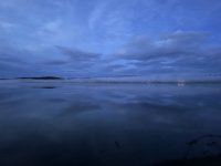AD5708FF-76D5-485D-90DD-D741A07EB9EE.jpeg AD5708FF-76D5-485D-90DD-D741A07EB9EE.jpeg