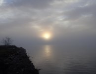 8F27C01F-95A0-42CA-A4AB-5B427DBCFFD1.jpeg 8F27C01F-95A0-42CA-A4AB-5B427DBCFFD1.jpeg